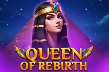 365 joylink